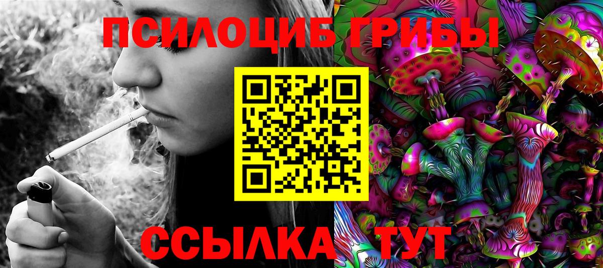 где продают наркотики  Вход с VPN  Санкт-Петербург  Псилоцибиновые грибы Magic Shrooms 